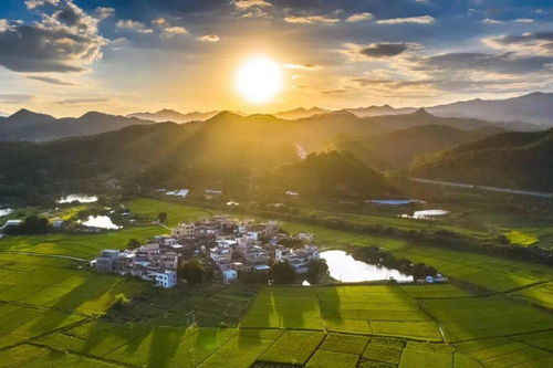 新兴生态网络的动态扩展