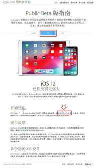 iOS设备详细下载步骤