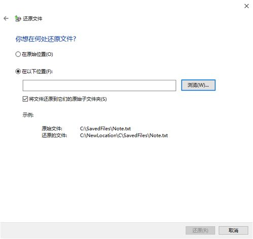 常见误操作与数据恢复方案
