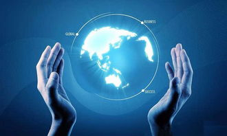 一、发展历程与市场定位差异