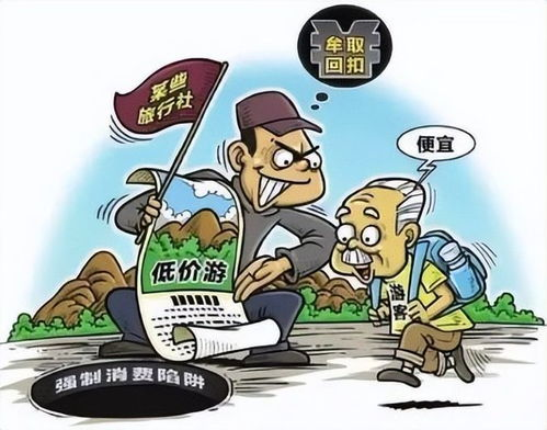 安全警示与防诈骗指南