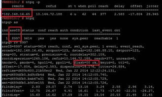 网络连接与节点同步问题排查
