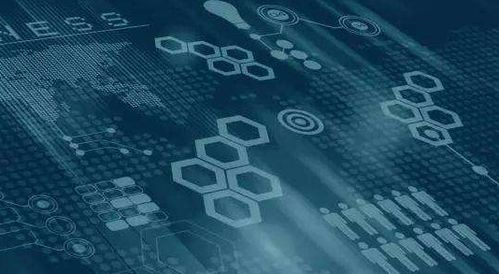 五、高级应用：多链地址协同管理