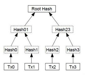 多链支持与名称扩展性