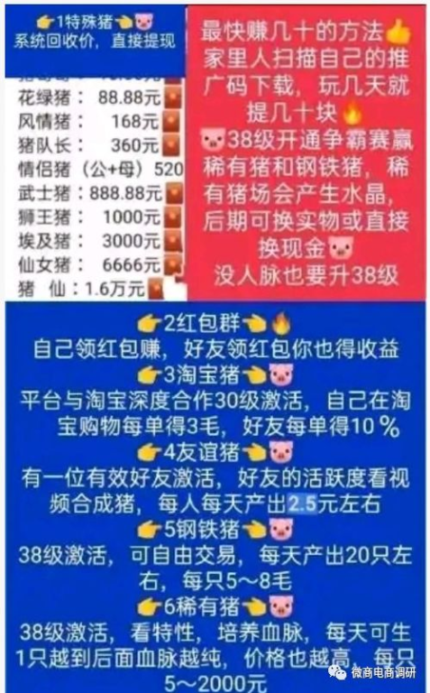 四、联系官方支持团队协助