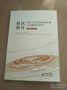 安全审计与社区共治机制