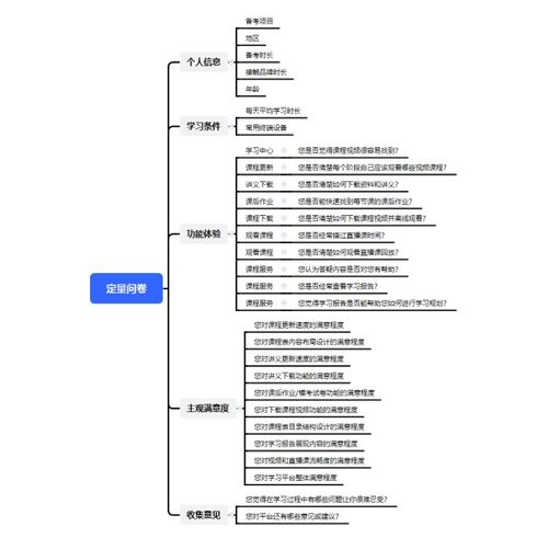 服务优化与用户教育计划