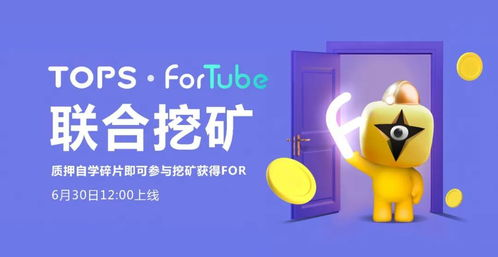 用户资产安全与开源风险的权衡