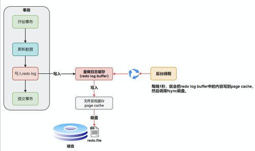 三、详细安装流程分步解析