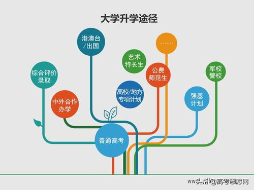 三、TRC20及其他链USDT的特殊处理