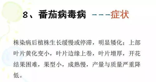 五、预防二次受害的安全加固措施
