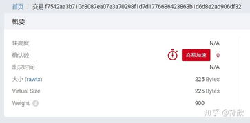 多链DApp浏览器与生态币种