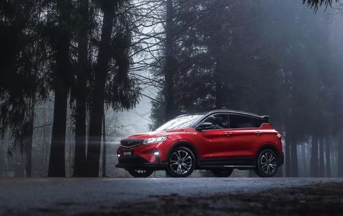 四、生态建设与创新功能