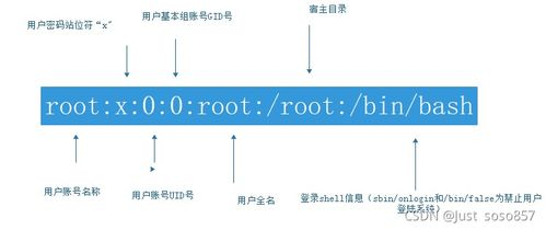 用户操作中的典型安全隐患