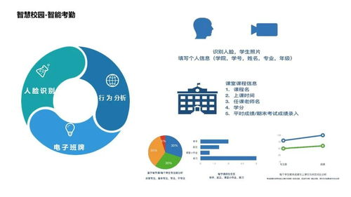 用户可选的替代性解决方案