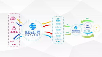 商业模式可持续性困境