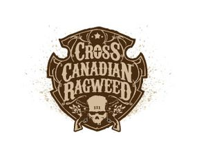 骷髅标志的核心含义解析