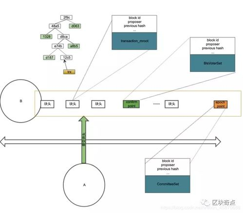 地址本的多链管理技巧