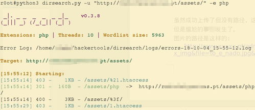 二、授权记录的具体查看路径