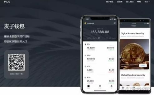 跨链转账与多链钱包功能