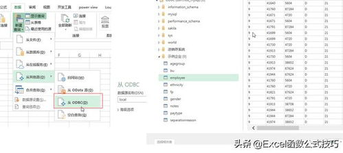 三、分步导入操作详解