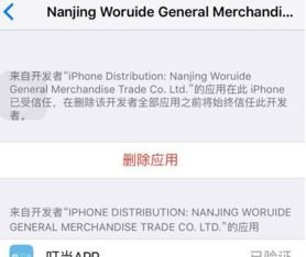 下载后的首次设置要点