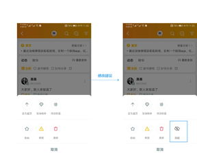 用户评价与市场反馈