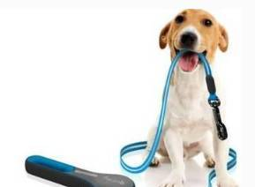 二、狗狗币网络配置详解