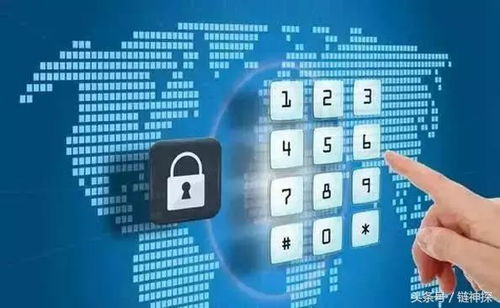 区块链交易的本质特征与IP关联性