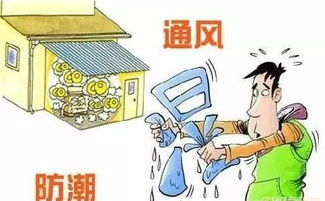 安全注意事项与风控建议