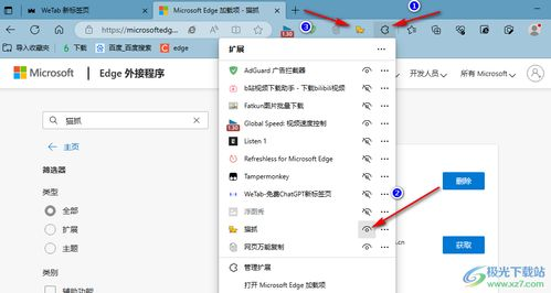 浏览器插件版获取方式
