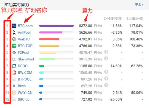 网络确认与交易状态追踪