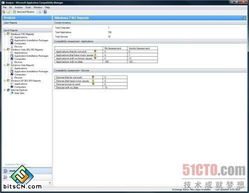 三、应用程序版本兼容性