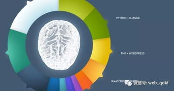 用户体验与界面设计差异