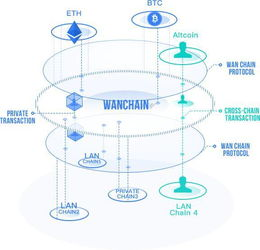 不同区块链网络的典型到账时间