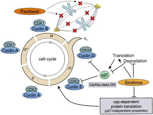 一、imToken钱包核心功能全景扫描