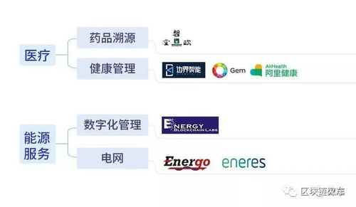 三、主流区块链网络的典型转账耗时对比