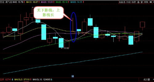 二、专业级K线图表解析