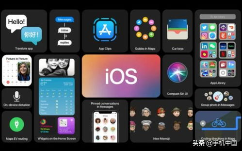 二、安卓与iOS系统下载路径详解