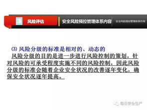 安全防护机制与风险应对策略