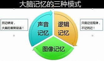 利用部分记忆进行组合尝试