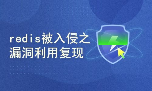 漏洞利用的实际案例分析