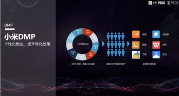 开发者生态的协同效应