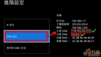 IP问题常见类型与解决方案