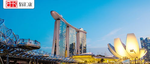 为什么选择新加坡作为注册地