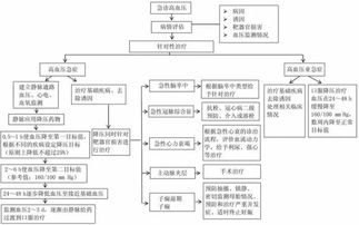 遭遇盗窃后的应急处理流程
