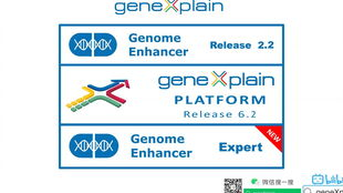 四、国际版特有功能配置指南