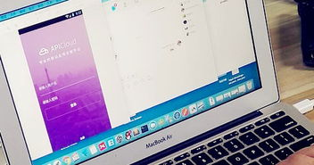 开发者生态与API扩展能力