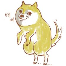 二、创建或导入兼容DOGE的钱包