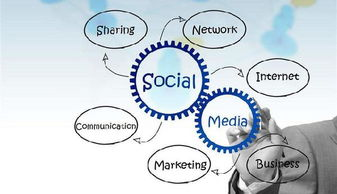 五、个性化服务与社交功能创新